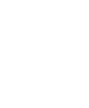 BURMÜHLE